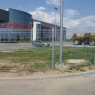 Оградни Пана